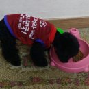 라크레모나 네이버블로그