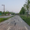 세네뜨리아 | 2024.05.04. 차량 업그레이드, 세명대학교 등나무꽃, 작약꽃보러 제천으로 나들이. 한국차문화박물관