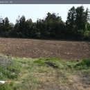 난산보건진료소 이미지