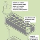 에덴팜스 이미지