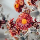 정든로20번길 | 경기도 수지구 해동검도 죽전1관, 후기, 연락처, 주차