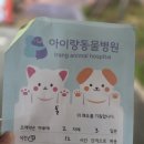 아이랑 동물병원 이미지
