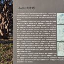 진주배영초등학교 구. 본관 | 진주 배영초등학교 구 본관(등록문화재 582호)