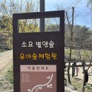 소요산 화장실(관리사무소) | 소요산 별앤숲 아이와 가기 좋은 자연 체험 명소 후기 🌿 (주차, 이용팁, 꿀정보 총정리)