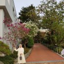 5.24일 남양성모성지 가시기 전에 이상각 신부님께서 쓰신 글보셨으면.., 이미지