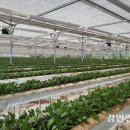 이종우농장 이미지