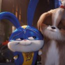 (주)펫박스 이미지