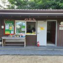 칠곡양떼목장 이미지