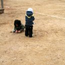 심학초교(병설) 이미지