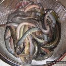 길목 추어탕 이미지