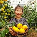 오상농장 이미지