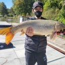 백학저수지 이미지