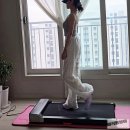 상장1리(고속도로 아래)야외운동기구 | 유산소운동 가능한 홈트 운동기구 킹스미스 워킹패드 Z1SE 잘 쓰는 중