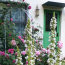 오베르쥬 리오네즈 이미지