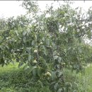 산북로(북후면) 이미지