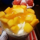 요거프레소행복로점 | [영블's 솔직한 후기] 요거프레소 메리시리즈-메리딸기, 메리망고 / 티라미스케익 / 의정부점