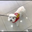 청계종합동물병원 이미지