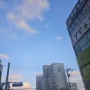 요거트월드조례점 네이버블로그