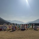 단장면 반려동물지원센터 | 밀양 반려동물 지원센터 다녀온 후기