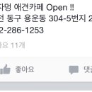 놀자멍 애견# | [애견카페]용운동 놀자멍