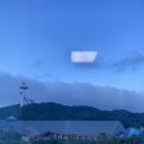 위드목장 이미지