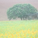 효감천농장 이미지