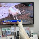 오산워시클럽 이미지