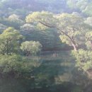 주왕산휴식소 이미지