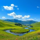 순천-37호 이미지