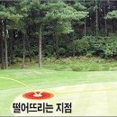 2월22일
