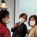 타라 미디어 네이버블로그