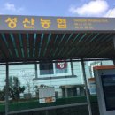 성산아쿠아비치호텔 이미지