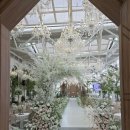 시간의 홀 | 분당 더 바실리움 웨딩홀 27년 견적 공유, 26년 잔여시간, 홀투어 후기