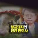 도나도나 이미지