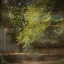 운일암반일암 야영장 이미지