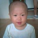 팔복어린이집 이미지