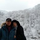 미도파횟집 | 속초 중앙시장 횟센터 미도파횟집 후기요!