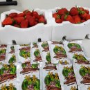 영자농장 이미지