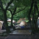 초원 숲속 야영장 이미지