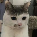 안곡고등학교 | 45의 제곱