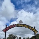 비토애 | 전남 나주 대가족 캠프닉 비토애 솔직후기