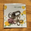 제주도게스트하우스동쪽구좌감성1인숙소그리고세화 | 그리고세화 게스트하우스