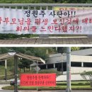 체육관 삼거리 이미지