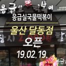 응급실국물떡볶이울산 - 북구 화산중앙로 94-5 | 응급실국물떡볶이울산
