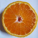 남원읍-126 이미지