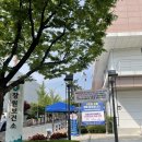 신월동162 이미지