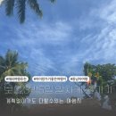 (12/17) 성인_라탄볼 리스 | 2025년 6살 아이와 함께한 무계획 보홀 여행기(feat, 최고의 흐린날씨속 물놀이)