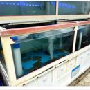 금산횟집 이미지