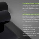 에스썬팅