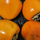 원미목장 | 10월 26일~31일💛 개그콘서트 본방사수 / 바다포도 후기 / 커플 신발 / 나이키 이니시에이터 / 부천 상동...